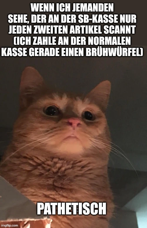 Bild einer Katze von unten fotografiert. Die Katze schaut herab in Richtung Kamera und sieht durch die Perspektive sehr groß aus.

Text oben: Wenn ich jemanden sehe, der an der SB-Kasse nur jeden zweiten Artikel scannt (Ich zahle an der normalen Kasse gerade einen Brühwürfel)

Text unten: Pathetisch