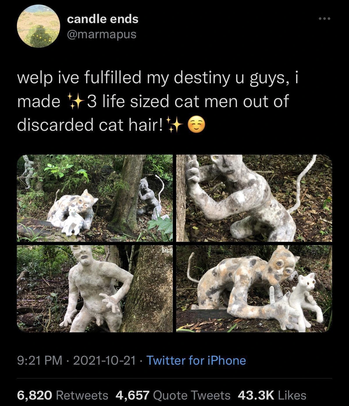 Oh, I love cat people!