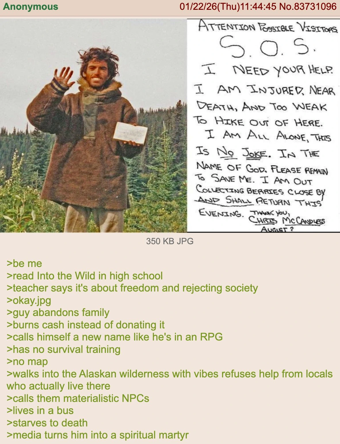 Anon reads Into the Wild