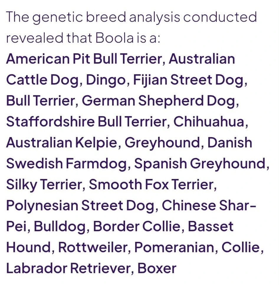 We did a DNA test on our rescue pup and got some... Interesting results.