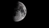 Dev creates astrology-powered CPU scheduler for Linux, makes decisions based on planetary positions and zodiac signs — sched_ext framework informed by lunar phases, cosmic weather reports, and dynamic time slicing