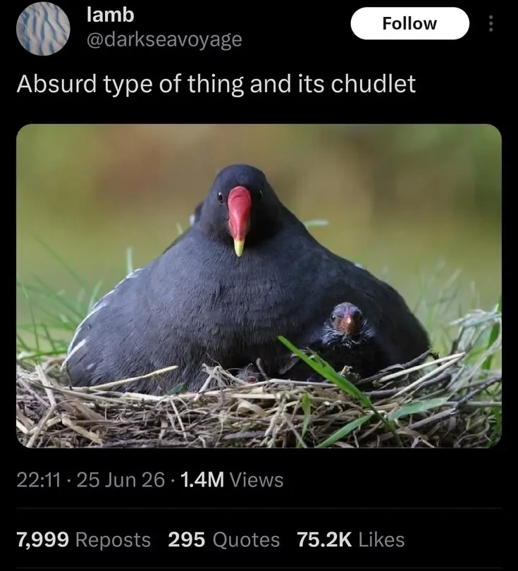 BORB. borb. 