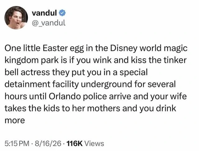 Special Disney experience