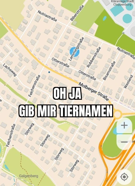 Screenshot einer Straßenkarte eines Wohngebiets in Cloppenburg aus CoMaps. Die Straßen Lemmingstraße, Nutriweg, Biberstraße, Bisamstraße, Robbenstraße, Lachsweg und Störweg sind sichtbar. Darauf der Text: Oh ja, gib mir Tiernamen