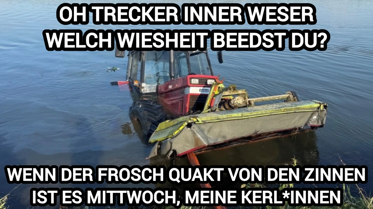 ich🚜🐸🏰iel