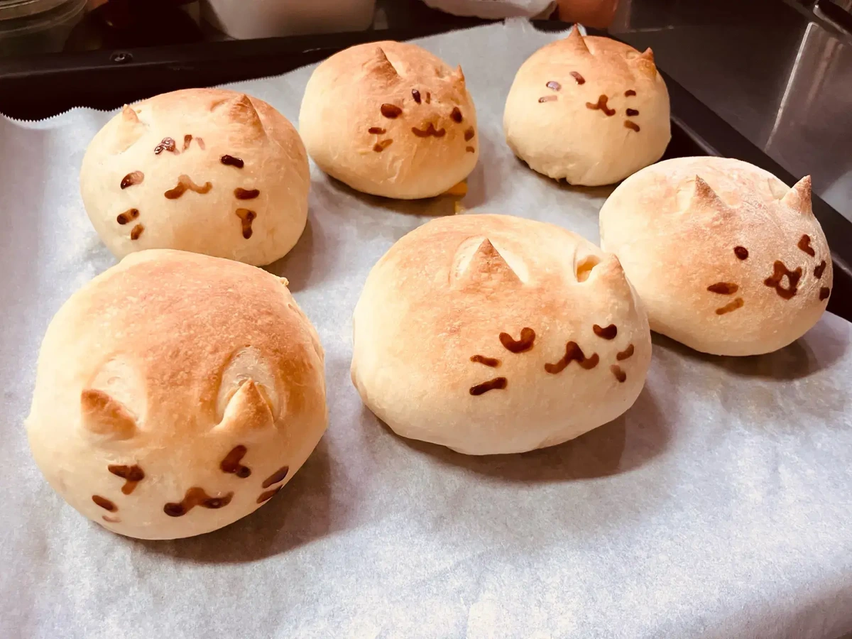 "Preuve formelle que oui, en effet, les chats font rond, rond."