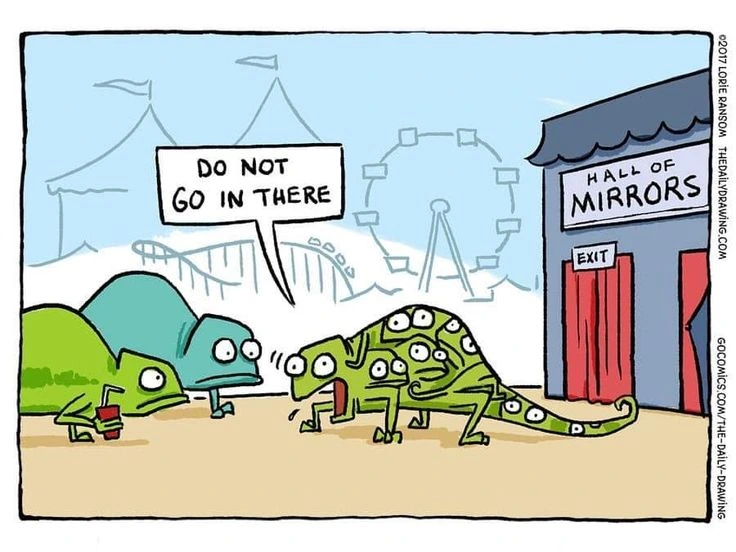 Hall of Mirrors