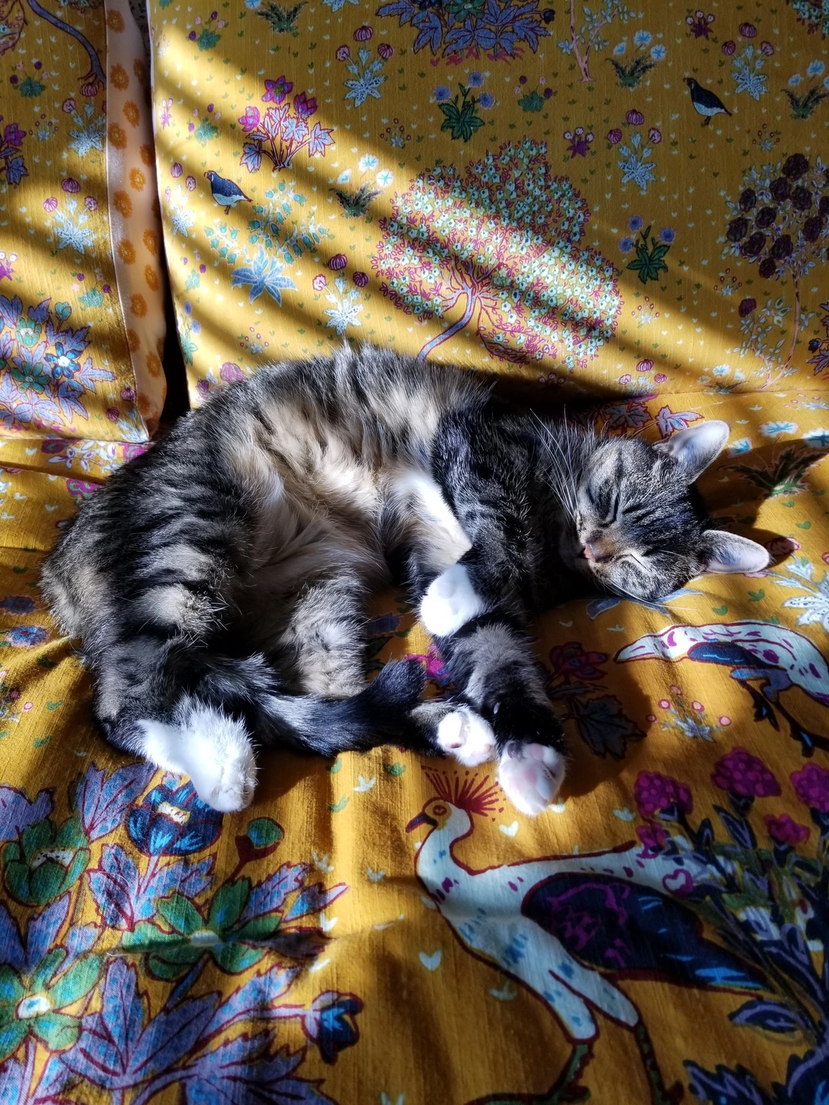 She always looks so comfortable