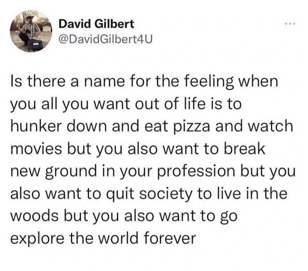 Is there a name for the feeling when you all you want out of life is to hunker down and eat pizza and watch movies but you also want to break new ground in your profession but you also want to quit society to live in the woods but you also want to go explore the world forever