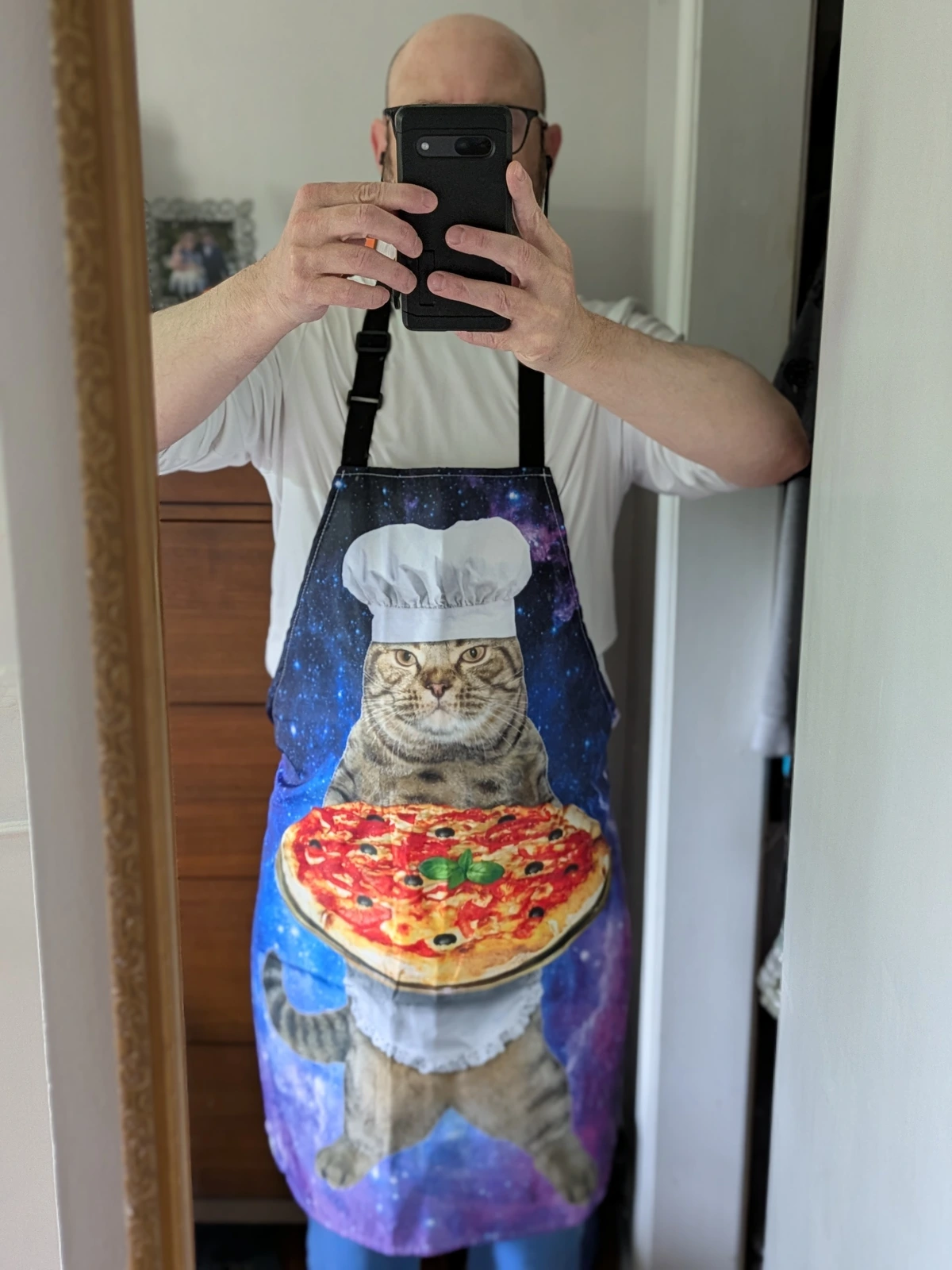 Beautiful space cat pizza apron.