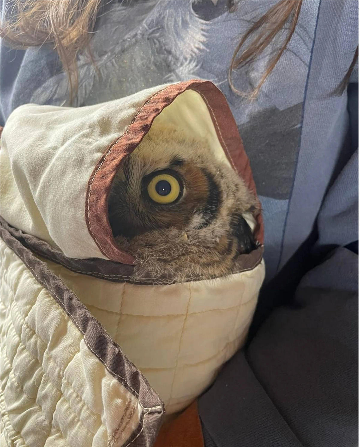 The Spiciest of Burrito Bowls