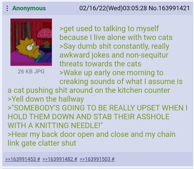 Anon has a cat